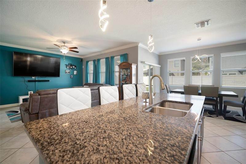 13. Single Family Homes for Sale at 1567 TALLULAH TERRACE Wesley Chapel, Florida 33543 United States