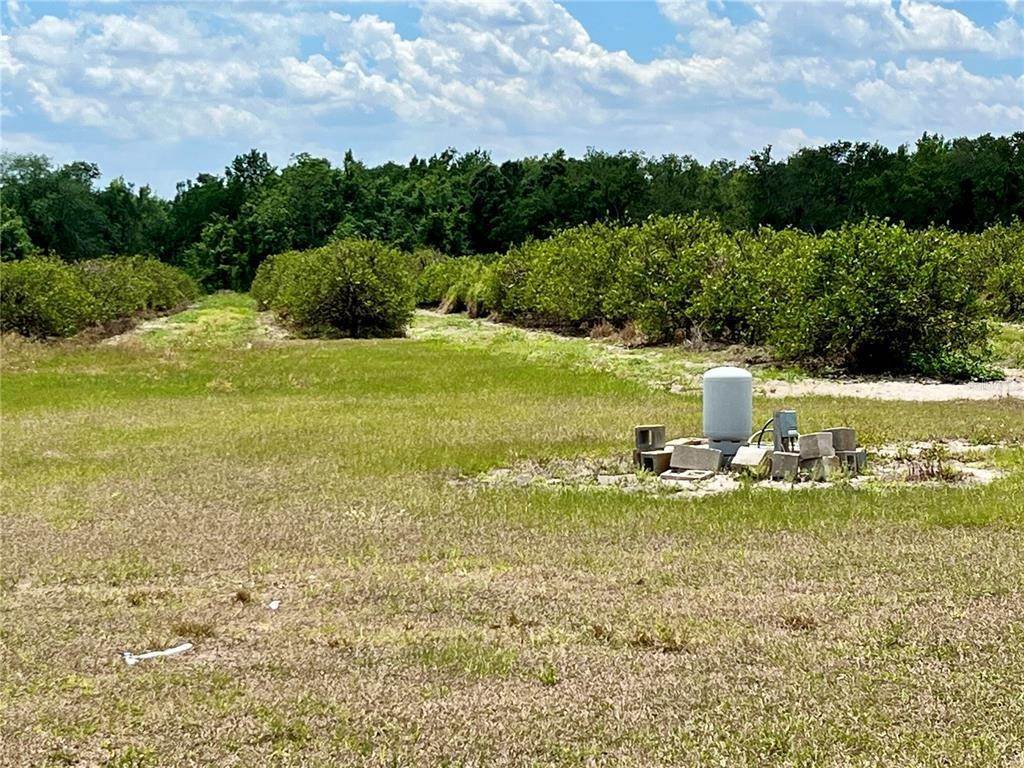 Land for Sale at 1299 ALEC HENDRY ROAD Wauchula, Florida 33873 United States