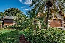 Residential Lease at 971 CARDIGAN LANE Palm Harbor, Florida 34683 United States