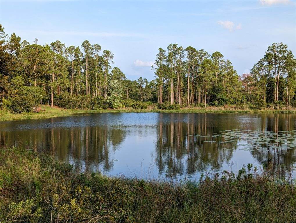 Land for Sale at 3226 Holifield AVENUE Lake Placid, Florida 33852 United States