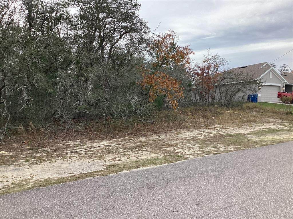 2. Land for Sale at 14042 Amero LANE Spring Hill, Florida 34609 United States