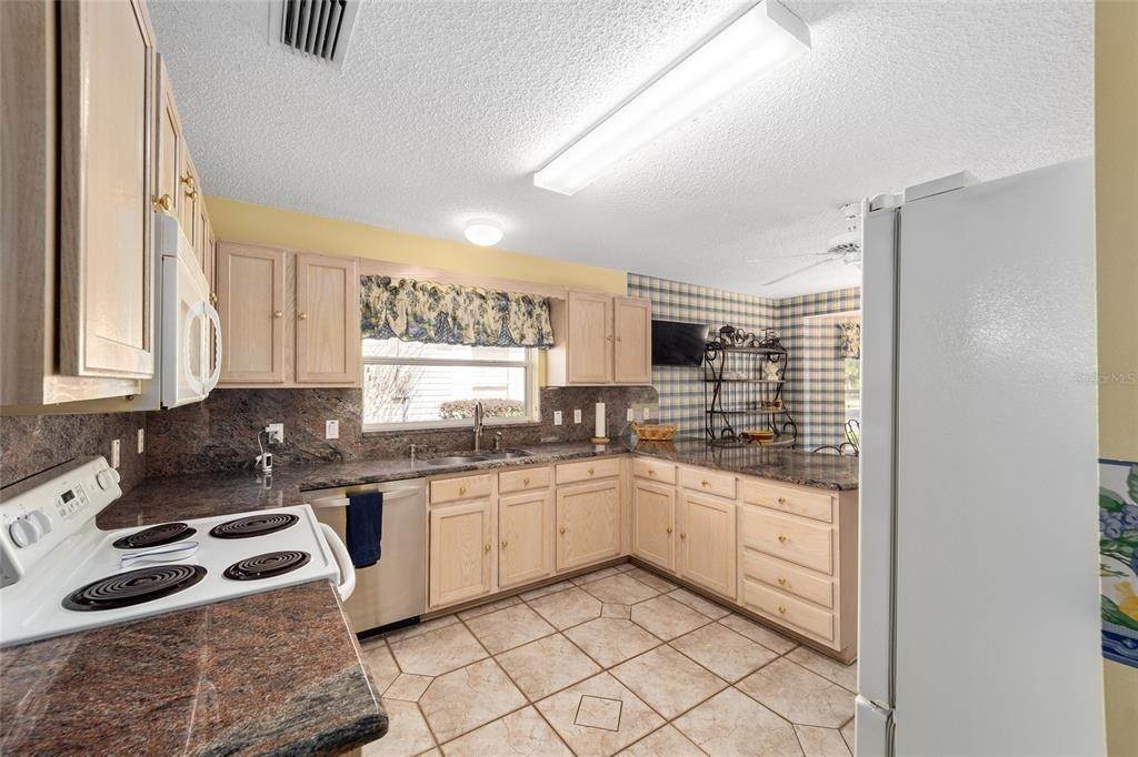 9. Single Family Homes for Sale at 316 Carrera DRIVE The Villages, Florida 32159 United States
