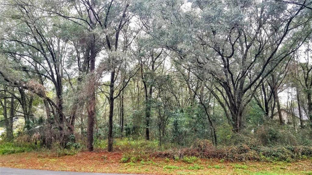 14. Land for Sale at SW 190 CIRCLE Dunnellon, Florida 34432 United States