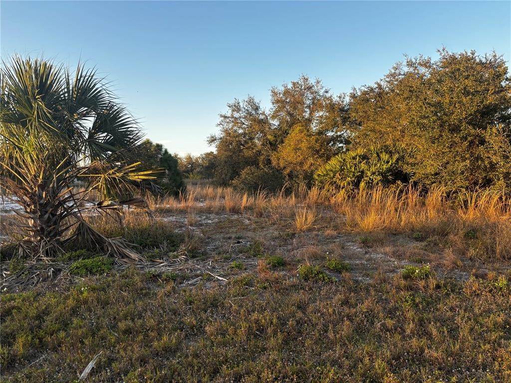 3. Land for Sale at 20048 Armstrong AVENUE Port Charlotte, Florida 33954 United States