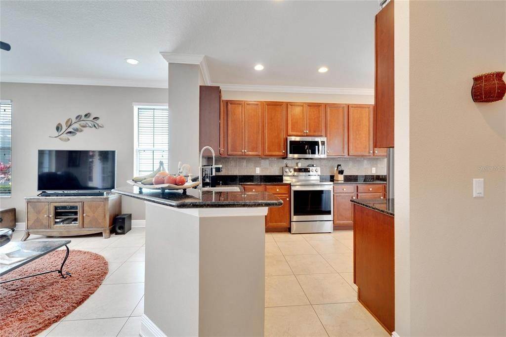 19. Single Family Homes for Sale at 215 Sela Cove CIRCLE Apollo Beach, Florida 33572 United States