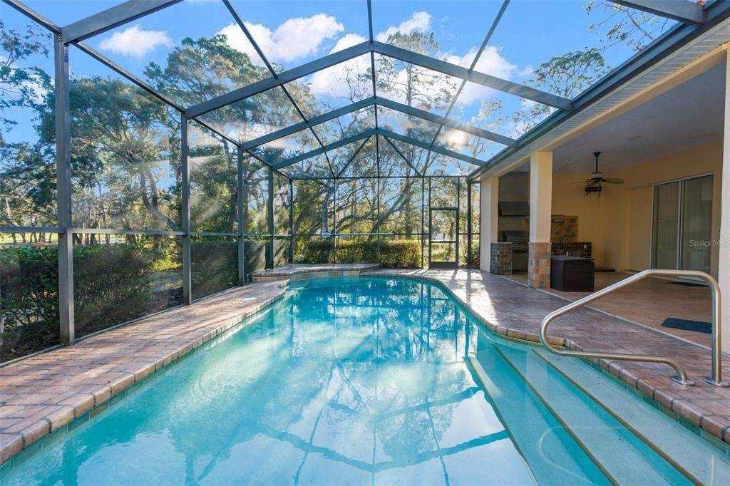 2. Single Family Homes for Sale at 15 Deerwood DRIVE Homosassa, Florida 34446 United States