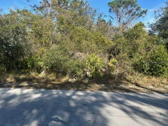5. Land for Sale at Red Oak LOOP New Port Richey, Florida 34654 United States