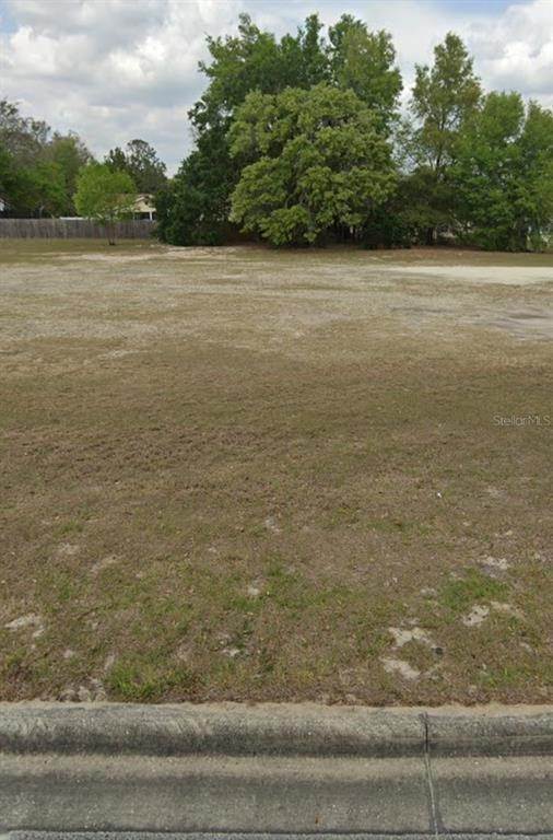 1. Land for Sale at SE Highway 42 Summerfield, Florida 34491 United States