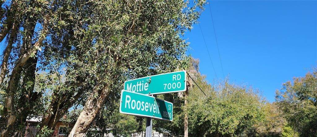 3. Land for Sale at 7019 Mottie ROAD Gibsonton, Florida 33534 United States