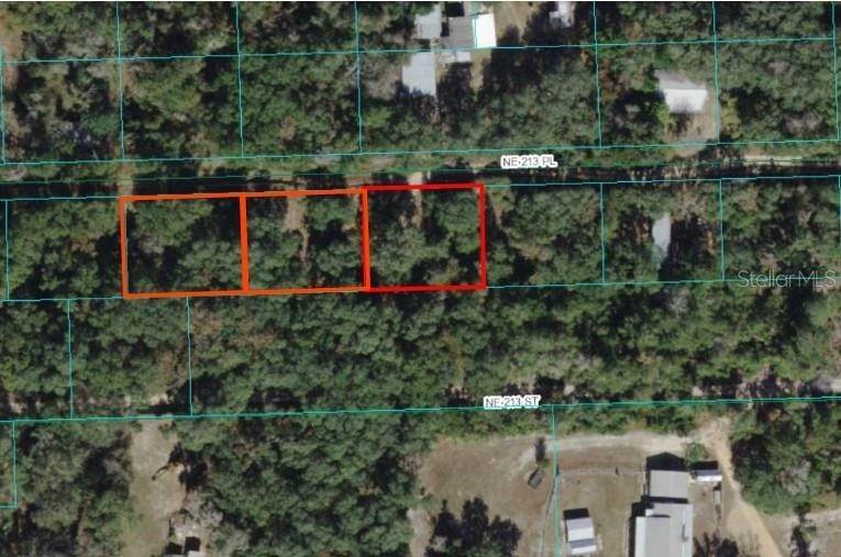 10. Land for Sale at NE 213 PLACE Fort Mc Coy, Florida 32134 United States