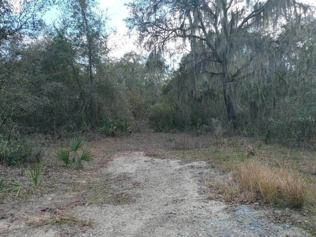 8. Land for Sale at NE 213 PLACE Fort Mc Coy, Florida 32134 United States