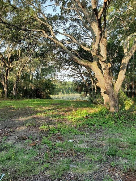 4. Land for Sale at E Hwy 40 Silver Springs, Florida 34488 United States