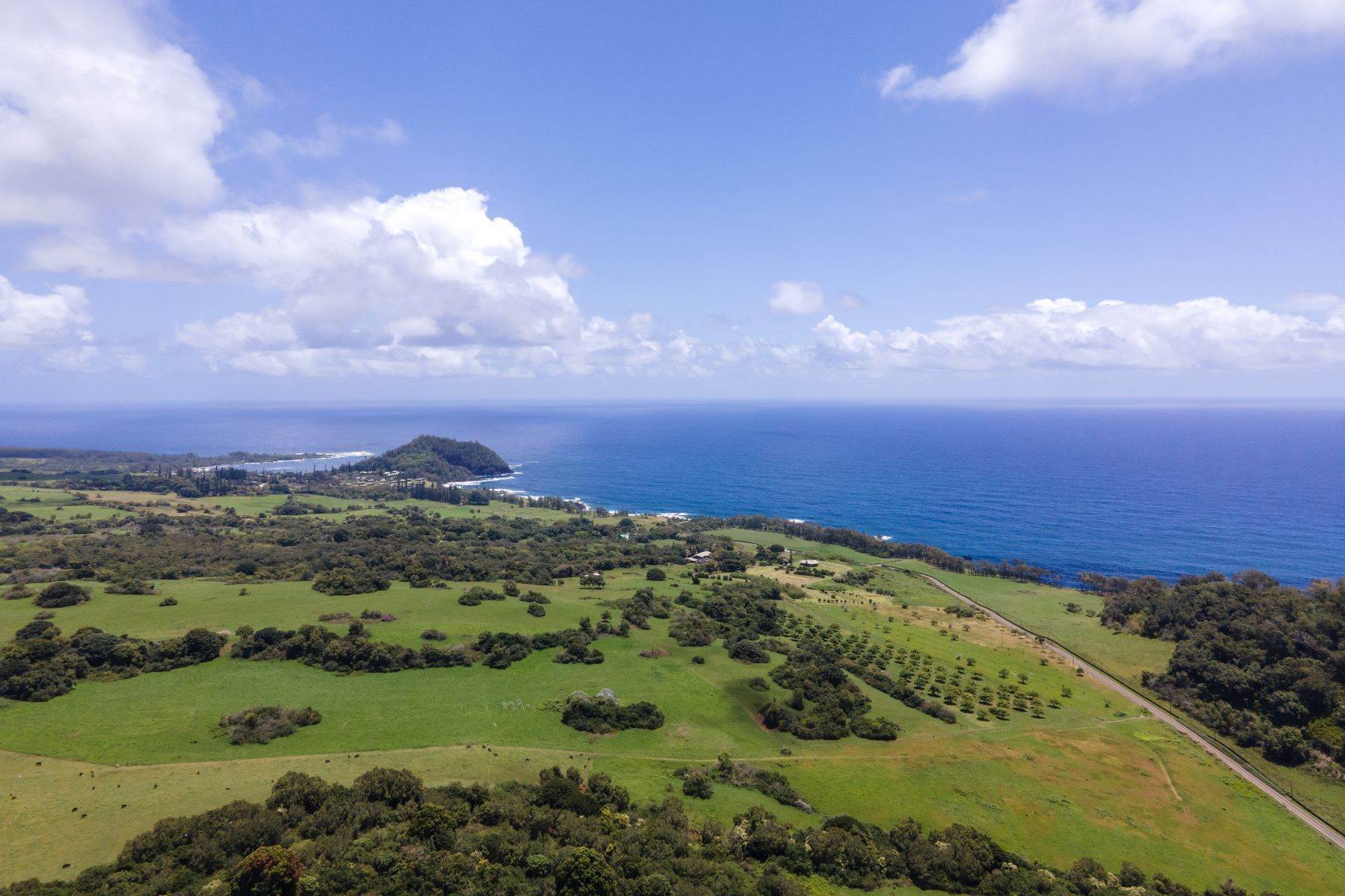 15. Land for Sale at UNMATCHED EXTRAORDINARY OPPORTUNITY Hana Ranch, Maui Hana, Hawaii 96713 United States